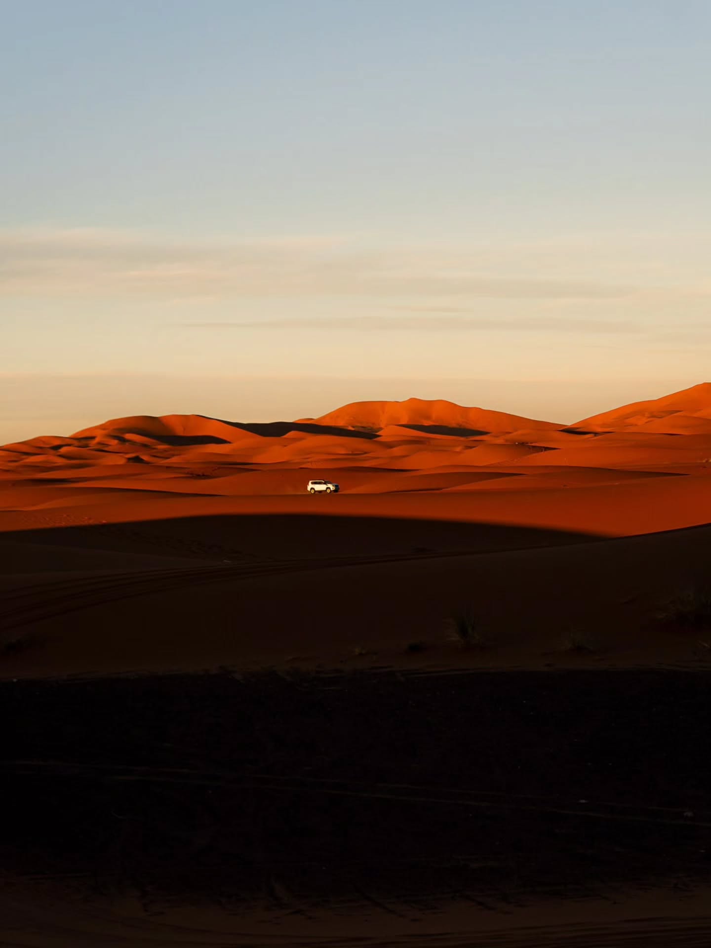 Camels trekking across Erg Chebbi dunes at sunrise