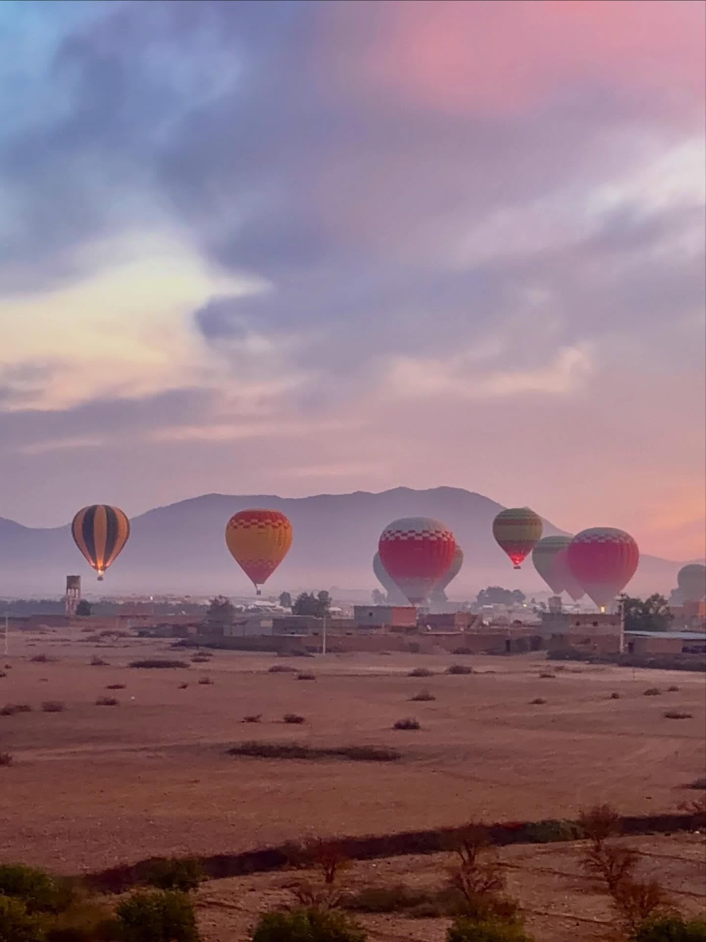 Hot air balloon over Marrakech Palm Grove at dawn