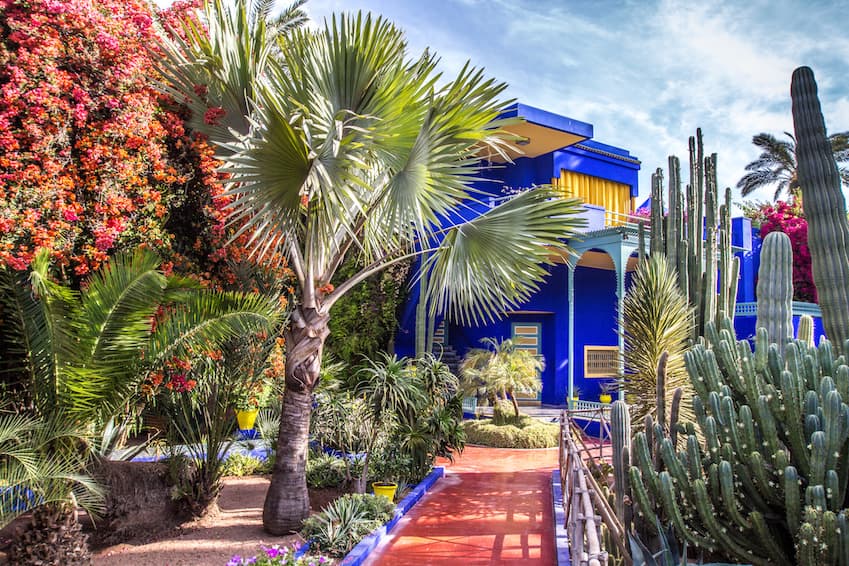 Majorelle Gardens Marrakech — iconic cobalt blue