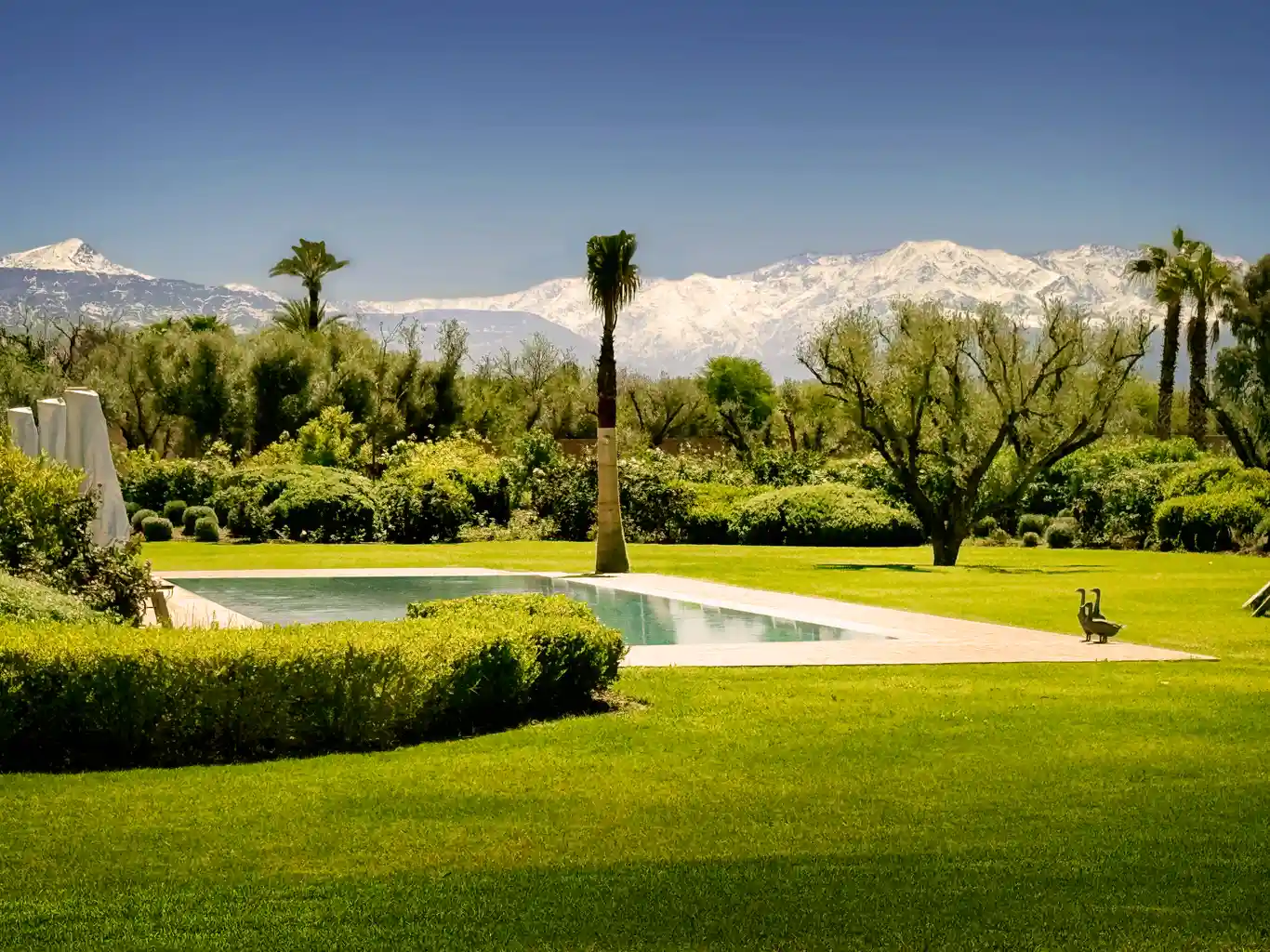 Own in Morocco