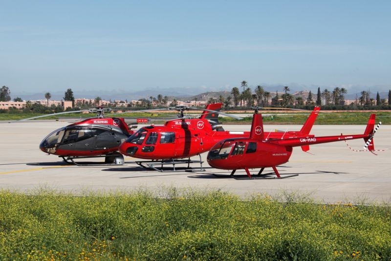 Three helicopters waiting on the pad, palm trees behind