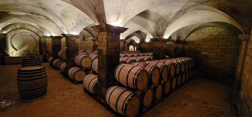 Barrels lined up in an underground Moroccan cellar